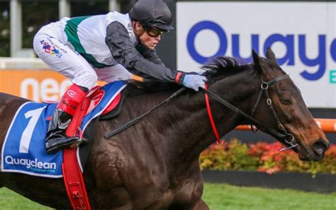 pb lawrence stakes|2023 PB Lawrence Stakes winner Mr Brightside .
